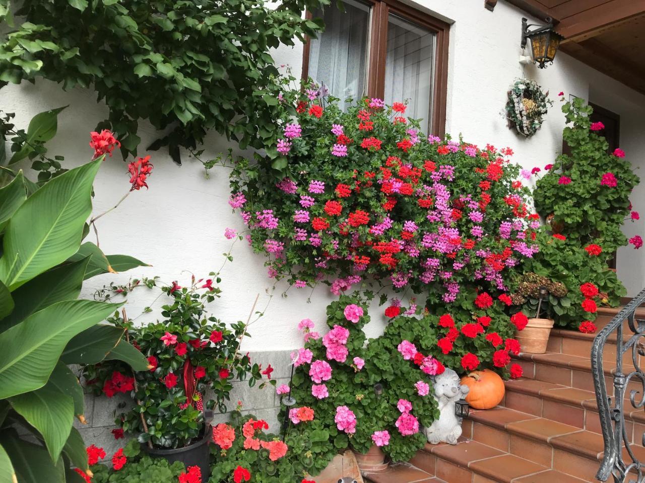 Haus Katharina Hotel วาไกรน์ ภายนอก รูปภาพ